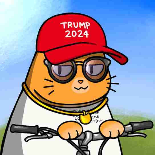 inscription 00a74ab1c7fc33eb8bbd7cd4df322da1aa425ac7e4adaf5002bef7020d406610i16