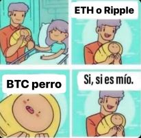 inscription 24cc44553edc33dbce599a2d4e3af915d949c4b8b7ae9fe79dc1180e73ebe997i0