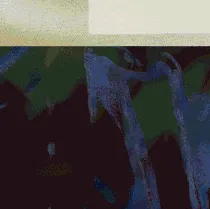 inscription 3bdfdaff80ad8abd4102abb7b2cc30952628d71f998bde9fbb1e8aecd91a885ci0