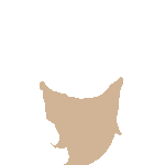 inscription 499ce616c7644f8218c4bc401d377a52b9db07e52ecbea845fd4e3a9d054e484i68