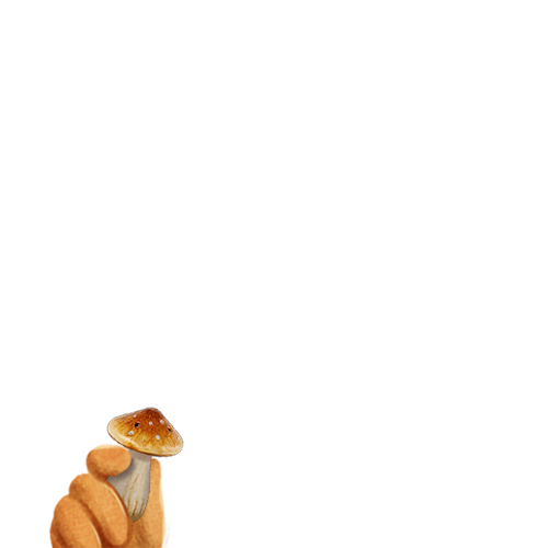 inscription 6ca31d33280894c28bca82154ca2cdbc315334108ceddf9130c4e2106b072da4i9