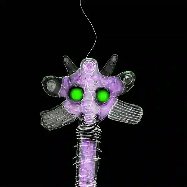 inscription 6f6fd4bdb6d1b58d3ada1eff156c0c450ce40cead9347dfd2fd01715ea4344a4i6