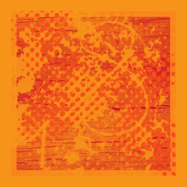 inscription d62e55a73d59ed837f29c1cd12e76fca6bd6b70faf49198526dd04afa5bd3fa7i14