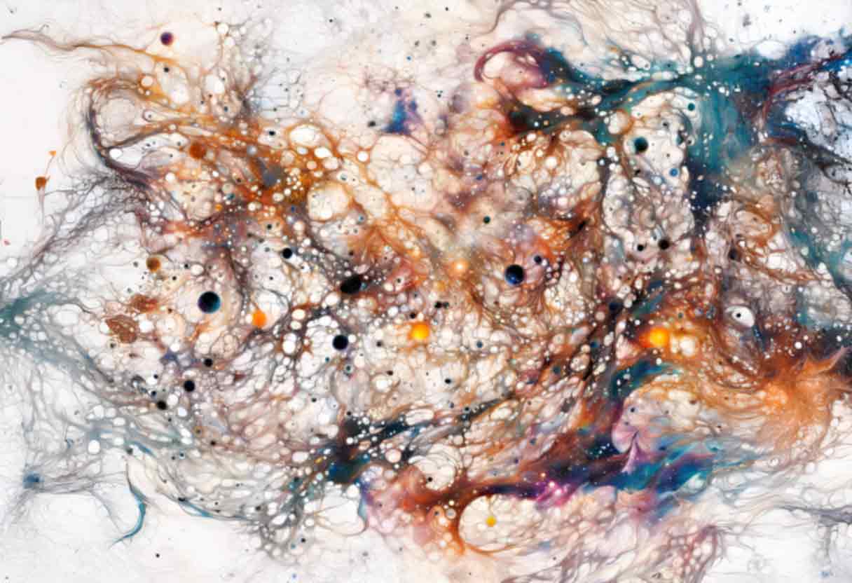 inscription efce94edce741acc37609a8dee69b833ffda5b56a336ff6f9033b0ca89e094dfi2